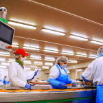 Paczka bułek rybnych, MOWI.