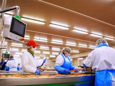 Paczka bułek rybnych, MOWI.