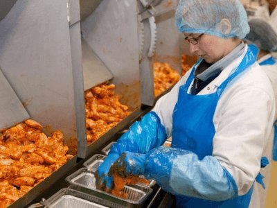 Wykrawanie ud kurczaka, PLUKON OMMEL (Holandia)