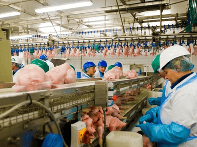 MIELEWCZYK Dzierżążno (УБОЙ)