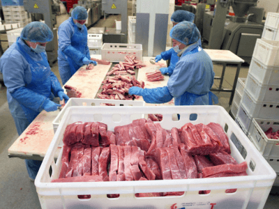 Работа на упаковке колбас и мяса, Krekenavos (Litwa)