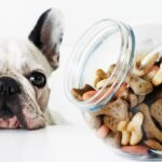 Производство лакомств для собак