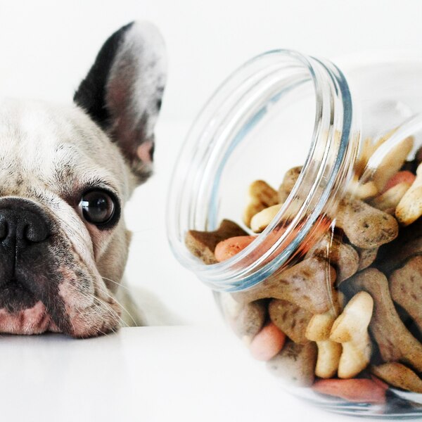 Производство лакомств для собак