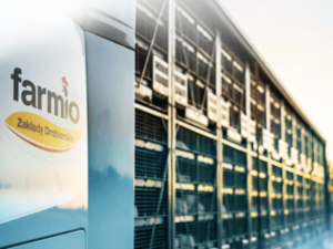 Очищення курячого філе після механічної обробки, FARMIO