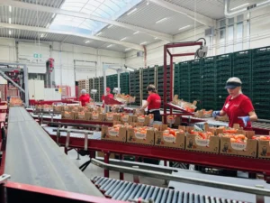 Farma Bezdínek работа в Чехии Работник в тепличном хозяйстве