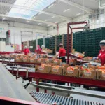 Praca w Farmie Bezdínek w Czechach Pracownik szklarni