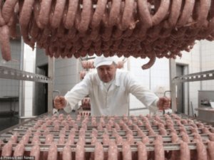 Упаковщик на производстве мясных продуктов, Morliny