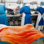 Baltic Fish вакансия