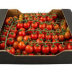 Pakowanie pomidorów Legnica