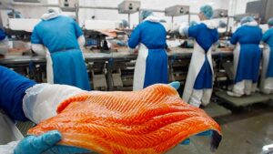 Baltic Fish вакансія