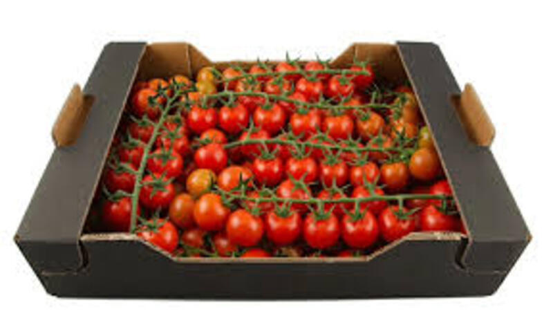 Упаковка помідорів м.Legnica