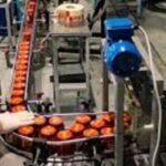 Kėdainių  Работа на консервном заводе(майонез, соусы и другое) (Литва)