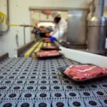 Sokołów Podlaski працівник м'ясного виробництва