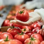 Domeina Sortowanie i pakowanie warzyw (Litwa)