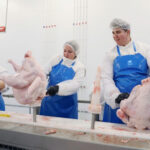Працівник на лінії індичої продукції