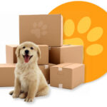 ID Logistics Słubice HIVE pracownik magazynu małych artykułów dla zwierząt