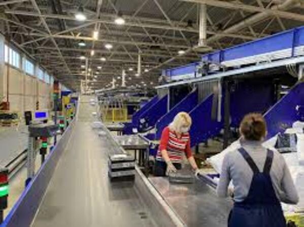 Працівник поштового складу (Skawina)