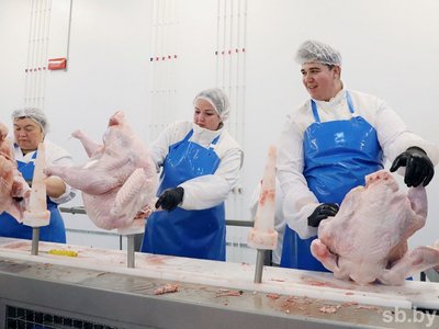 Работник на линии индюшиной продукции