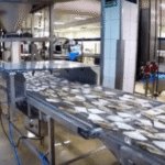 Operator linii produkcyjnej w zakładzie przetwórstwa ryb