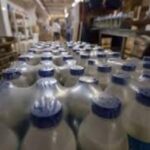 Pracownik magazynu mleczarskiego