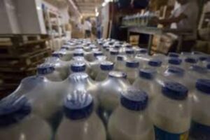 Работник на склад молочной продукции