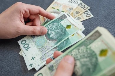 Пенсия в Польше для граждан Украины: стаж, условия, возраст и выплаты в 2026 году статья