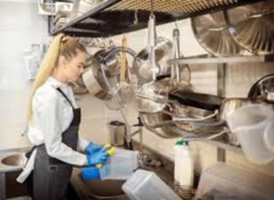 Миття посуду (Zmywak)