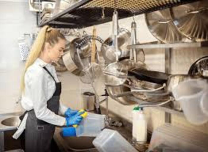 Мойка посуды (Zmywak)